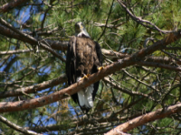 img_5031.jpg